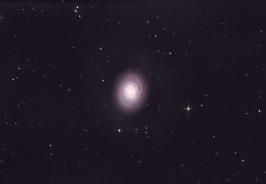 DSO